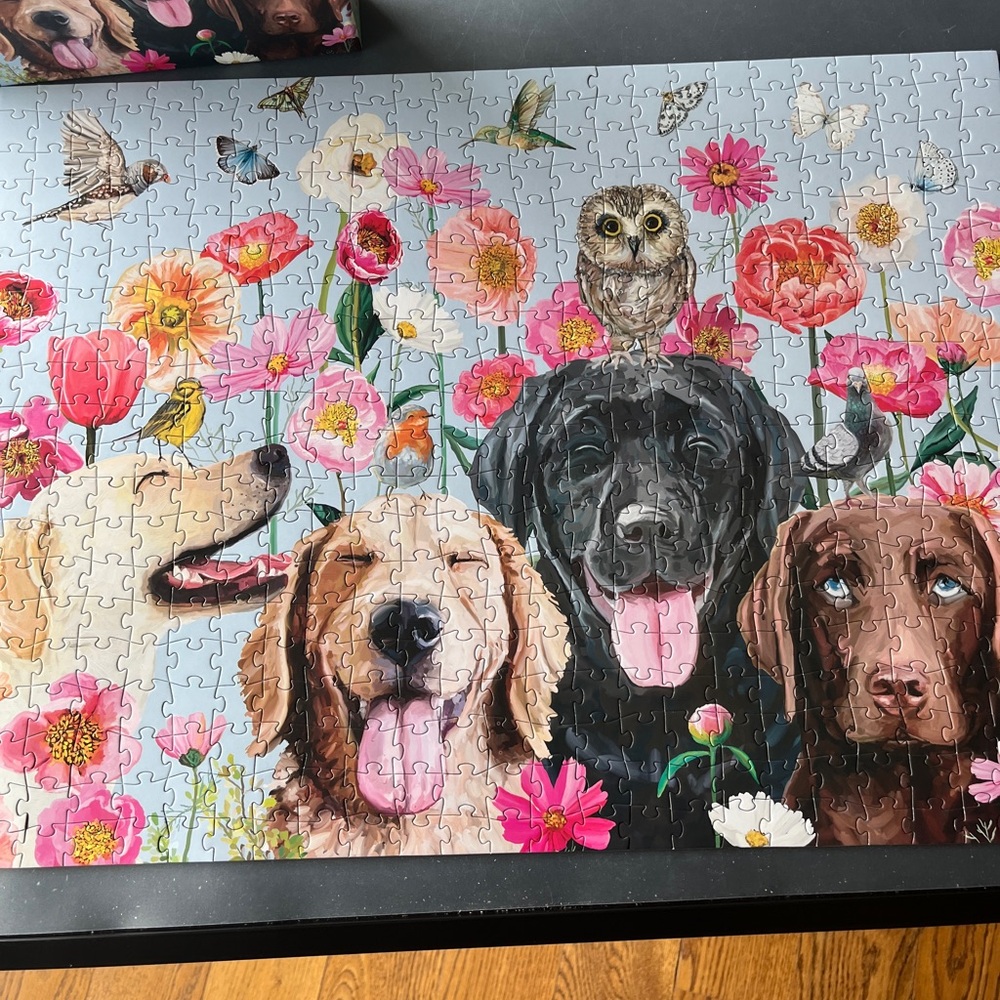 Greenbox Dogs and Birds Puzzle - Colorful Dogs Design